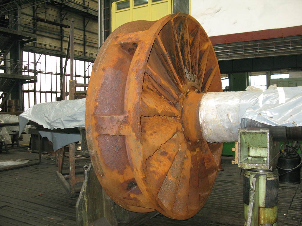 �޸�Ҷ�ֺ��׹�