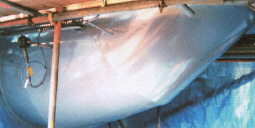 �޸���������ͷ